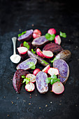Purple potatoes, beetroot and radishes with horseradish cream and coriander