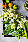 Fresh green vegetables for baking on a stove sheet