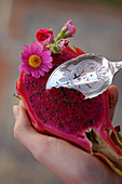 A person spooning pulp with a silver spoon from a dragon fruit