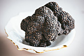 Black truffle in a bowl