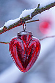 Red glass heart hung from snowy branch