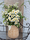 Bouquet of feverfew in old jug