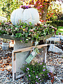 Arrangement of ornamental squash in wreath of ivy on stone table