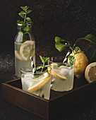 Lemonade with ice cubes and mint