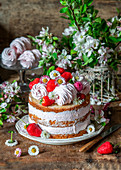 Strawberry zefir cake