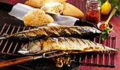 Gegrillte Makrelen mit Zwiebelfüllung, dazu Sesam-Fladenbrot und Pul Biber (Türkei)
