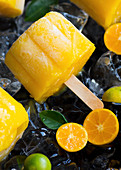 Kumquat-Fruchteis am Stiel