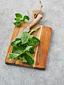 Fresh orache spinach on a wooden chopping board