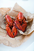 Cooked lobsters on paper