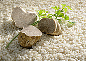 An arrangement of white truffles on round-grain rice
