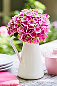 Pink hydrangea in a white enamel pot