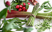 Asparagus, radish, rhubarb, peas and sprouts