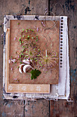 Vintage-style arrangement with garlic cloves and garlic flowers