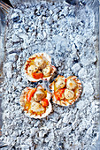 Scallops in the shell cooked over embers