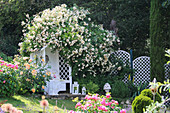 Philosophenbank umgeben von Rosen im Hanggarten