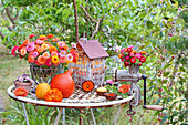Herbstdekoration mit Zinnien, Strohblumen und Kürbis