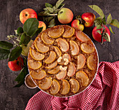 French sweet pie tart tatin apple cake upside down