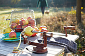 A garden table with apples, and an apple peeler in the foreground