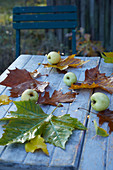 Herbstlaub und grüne Äpfel auf Gartentisch