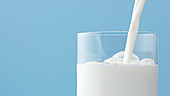 Milk pouring into glass with bubbles against light blue background