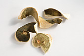 Dried lemon peel