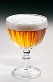 White beer without syrup in a traditional beer glass