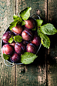 Hungarian plums