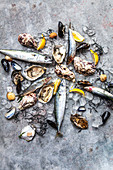 Clams, herrings, mackerels, mussles and oysters on ice