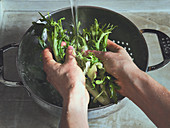 Washing salad leaves