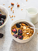 Granola bowl with blackberries and almond with coconut milk in the bowl