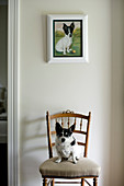 Dog sitting on chair with seat cushion below portrait of dog on wall