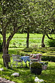 Wicker chairs in seating area below blossoming fruit trees in garden