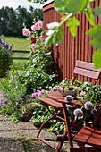 Wind-protected seat and hollyhocks on a wooden wall