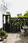 Romantic courtyard garden with a seating area and a rose bush on the wall