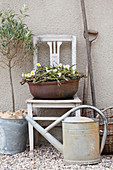 Arrangement of twigs and narcissus in rusty bowl on old chair