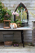 Katze auf dem Gartentisch mit Herbstdeko vor einer Bretterwand auf der Terrasse