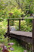 Bridge over garden pond