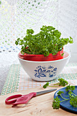 Fresh parsley in a bowl on a table