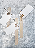 Paper tags on wooden craft sticks