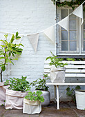 Wimpelkette über Pflanzen in Stoffsäcken am weißen Backsteinhaus