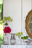 Roses and lady's mantel in vintage cases and teacup