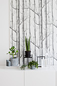 Decoration in shades of gray with green plants in front of a wallpaper with a forest motif