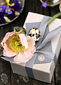 Pink poppy and quail egg on a gift in gray