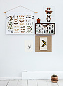 Insect boxes, posters with butterfly motifs, and postcards as wall decorations