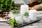 Succulents wrapped in white nest with candles
