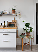 Tray table with Monstera next to the kitchenette with shelf
