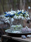 Wreath of grape hyacinths and snowdrops on a glass vase