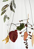 Hanging wreath with pressed leaves, twigs and dried berries