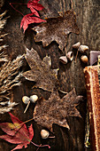 Getrocknete Herbstblätter und Eicheln