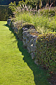 Stone wall covered with plants next to manicured lawn